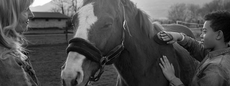 Coaching mit Pferd